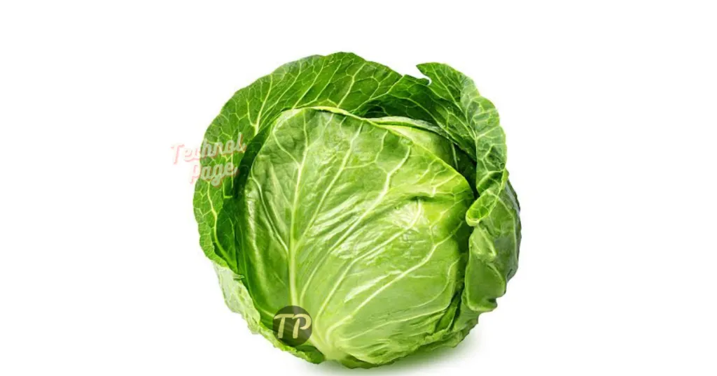 Cabbage Benefits, Uses and Side Effects