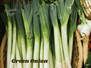 Green Onion Benefits Technol Page