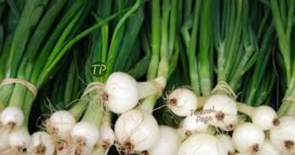 Green Onion Benefits and Side Effects