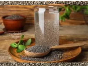 Chia Seeds Benefits and Side Effects