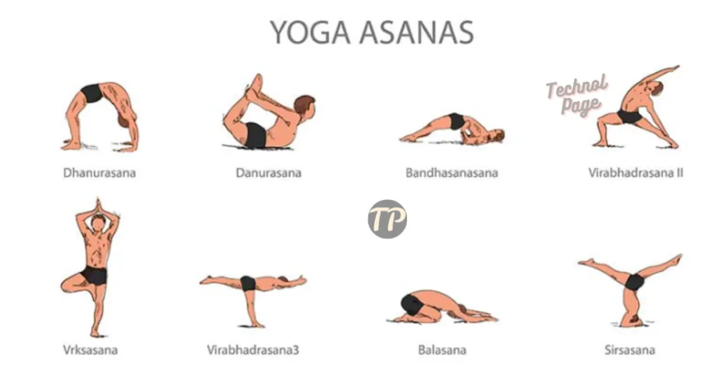 Different Types of Yoga Asanas